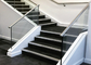 Innenedelstahl-Geländer mit Pulverbeschichtung / Sprühfarbe-Oberflächenbehandlung fournisseur