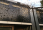 Schöne dekorative Metallplatten außen, dekorative Stahlwände ISO9001 genehmigt fournisseur
